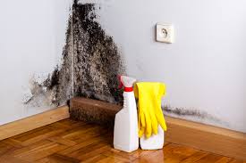 Best Real Estate Mold Inspection  in Bloomington, CA